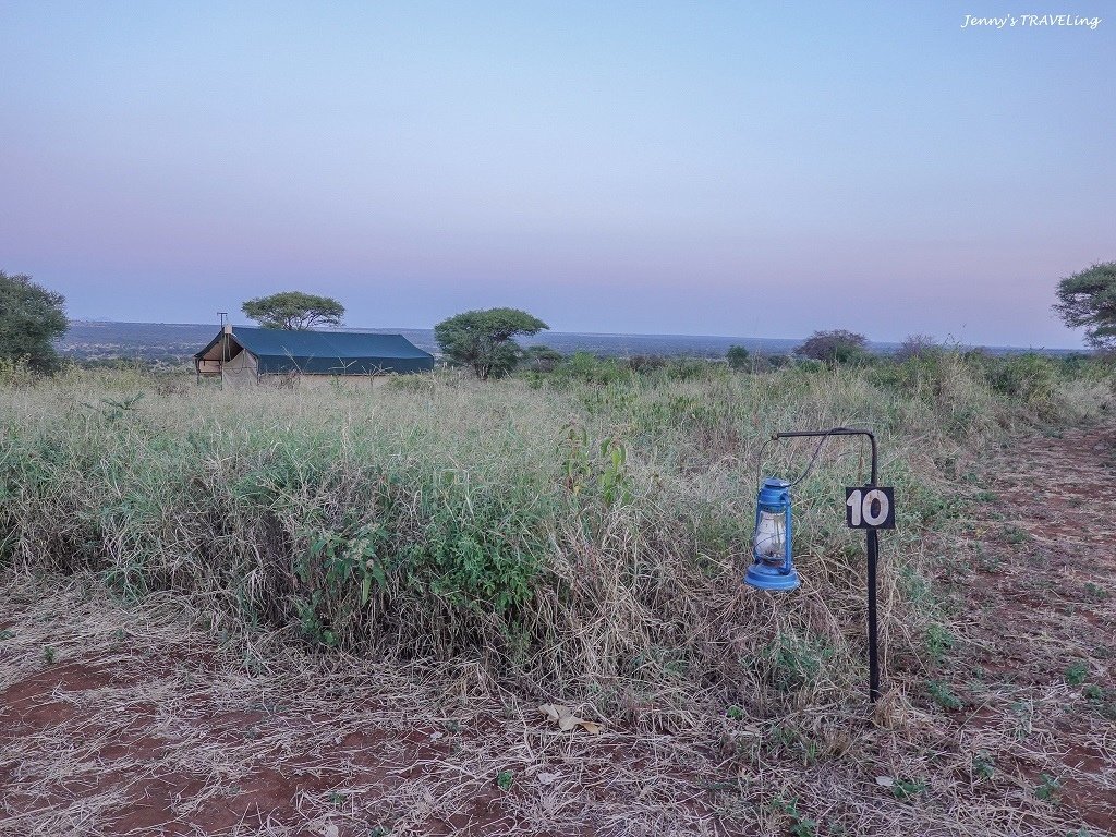 Africa＊坦尚尼亞獵遊 當地旅行社推薦 Safari I