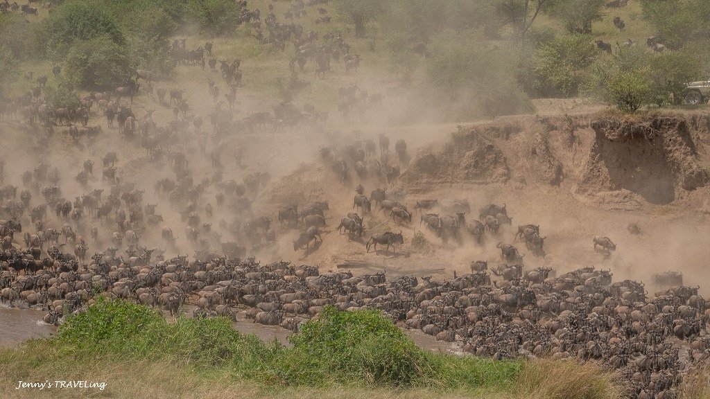 Africa＊坦尚尼亞獵遊 當地旅行社推薦 Safari I