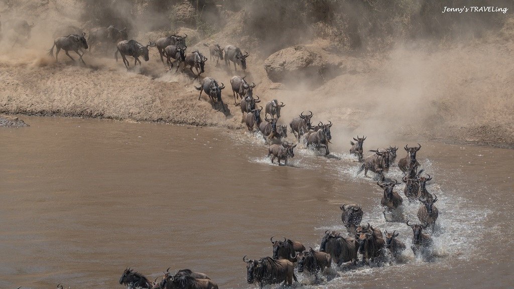 Africa＊坦尚尼亞獵遊 當地旅行社推薦 Safari I