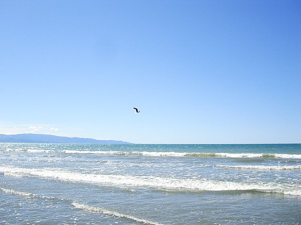 飛翔的海鷗很適合這美景