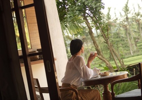 alaya ubud 官方照片