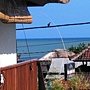 Bali Baliku 2 Bed Room Pool Villa