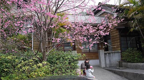 郵局前的野餐