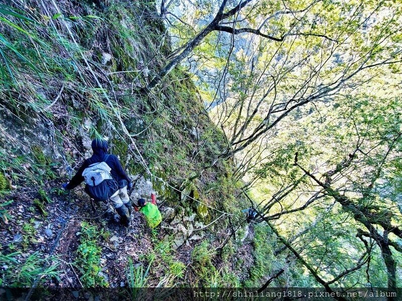 百年鶑橋 荻坂山 花蓮 太魯閣 親子登山