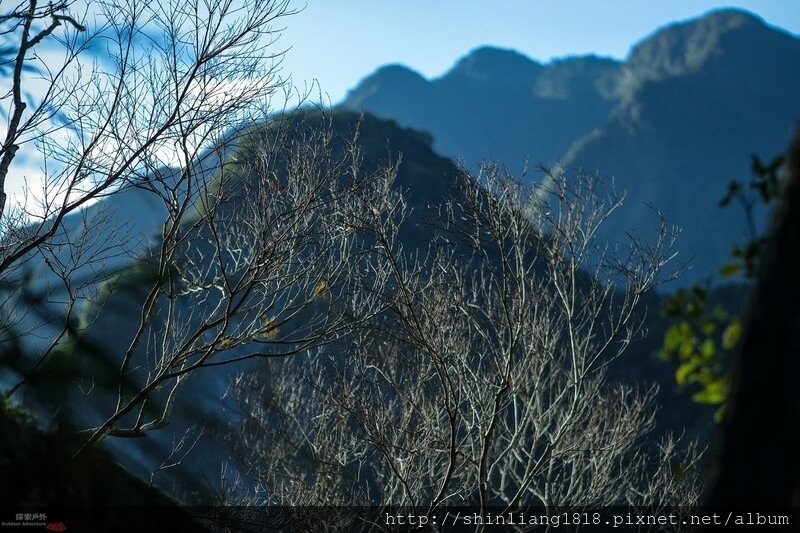 百年鶑橋 荻坂山 花蓮 太魯閣 親子登山