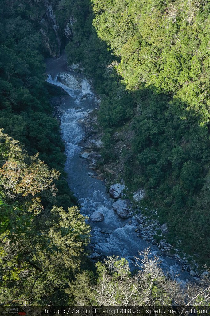 百年鶑橋 荻坂山 花蓮 太魯閣 親子登山