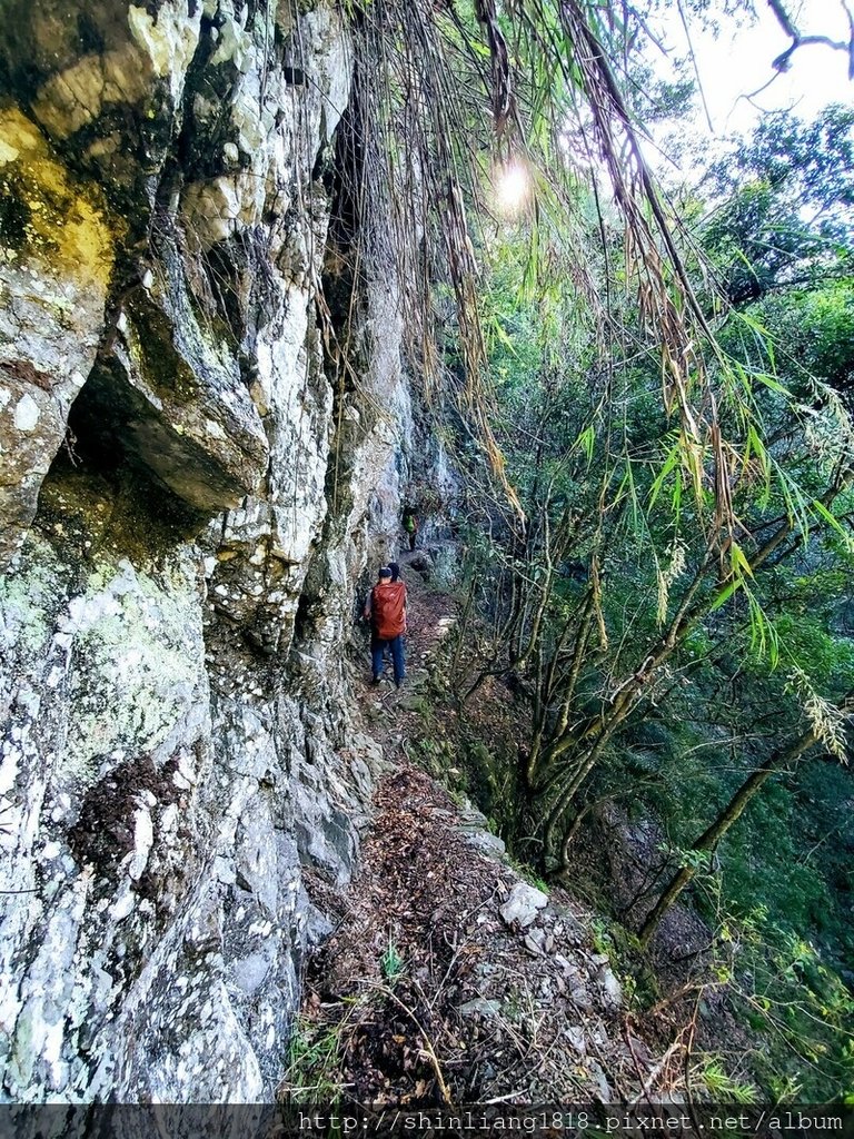 百年鶑橋 荻坂山 花蓮 太魯閣 親子登山