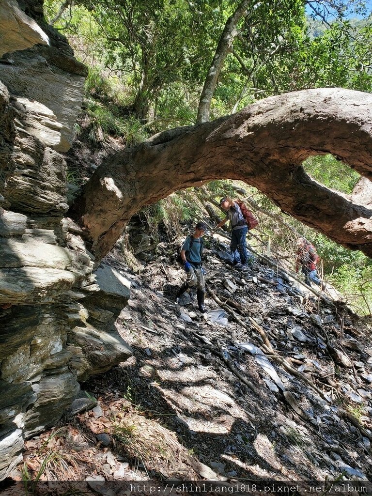 百年鶑橋 荻坂山 花蓮 太魯閣 親子登山