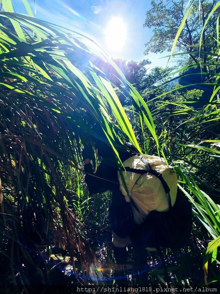 百年鶑橋 荻坂山 花蓮 太魯閣 親子登山