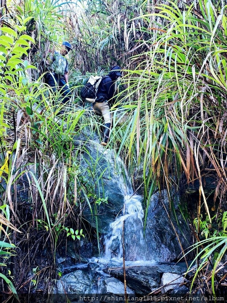 百年鶑橋 荻坂山 花蓮 太魯閣 親子登山