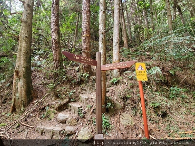 親子登山 北坑駐在所 雪見大板根 雪見遊憩區 北坑山