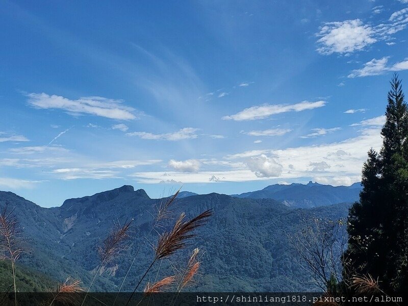 親子登山 北坑駐在所 雪見大板根 雪見遊憩區 北坑山