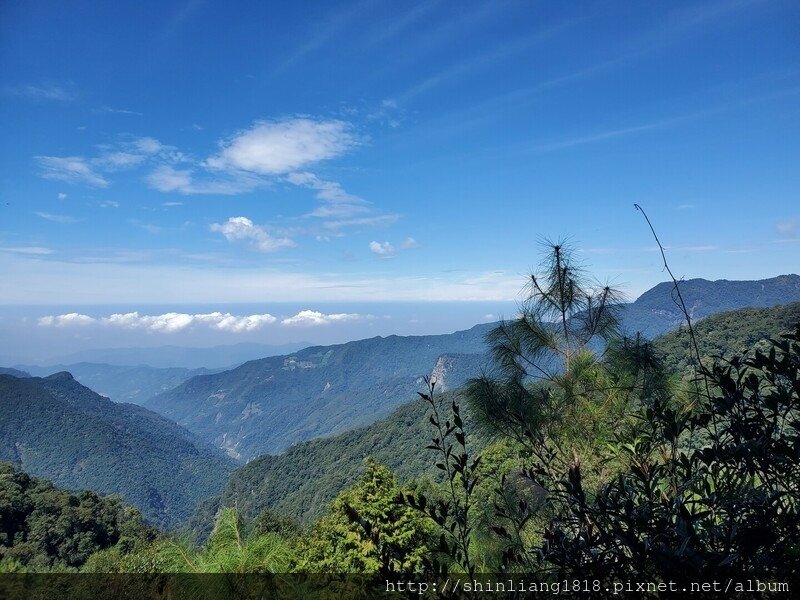 親子登山 北坑駐在所 雪見大板根 雪見遊憩區 北坑山