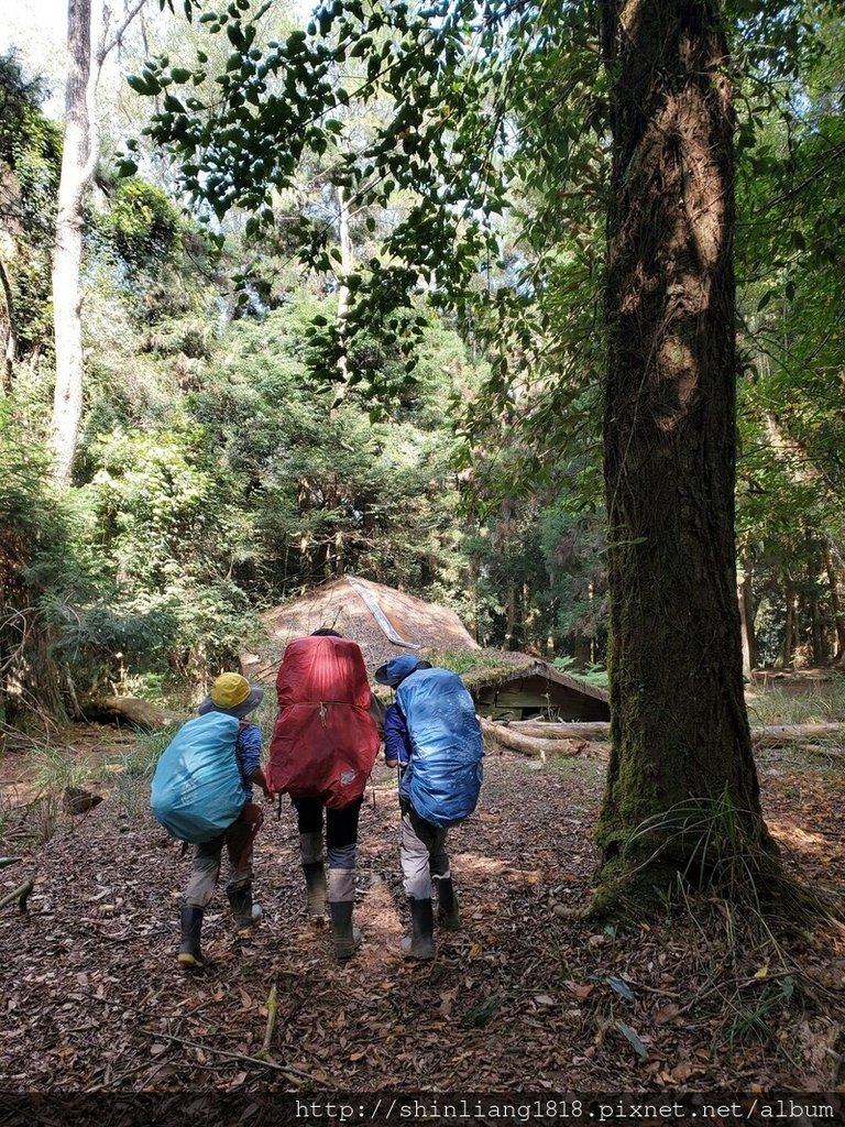 親子登山 北坑駐在所 雪見大板根 雪見遊憩區 北坑山