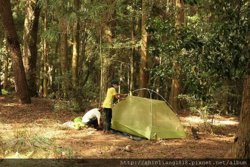 親子登山 北坑駐在所 雪見大板根 雪見遊憩區 北坑山