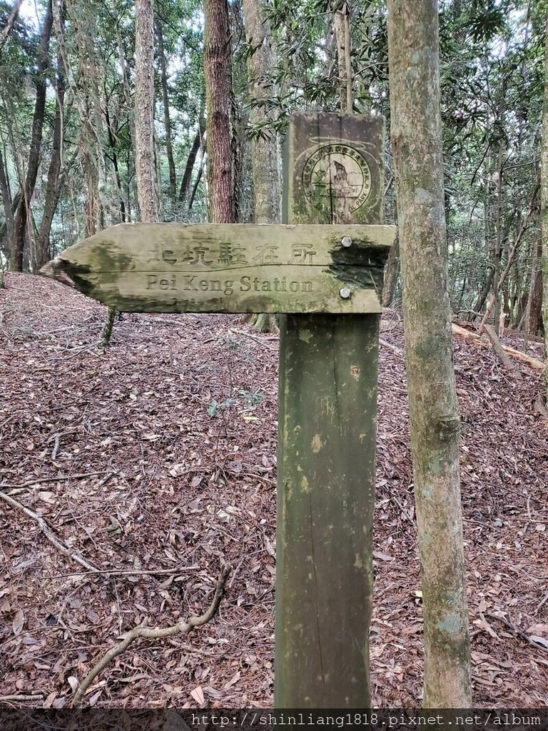 親子登山 北坑駐在所 雪見大板根 雪見遊憩區 北坑山