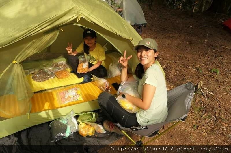 親子登山 北坑駐在所 雪見大板根 雪見遊憩區 北坑山