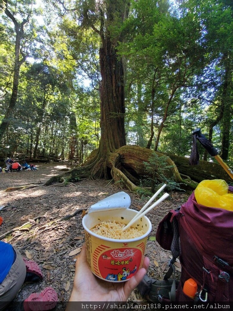 親子登山 北坑駐在所 雪見大板根 雪見遊憩區 北坑山