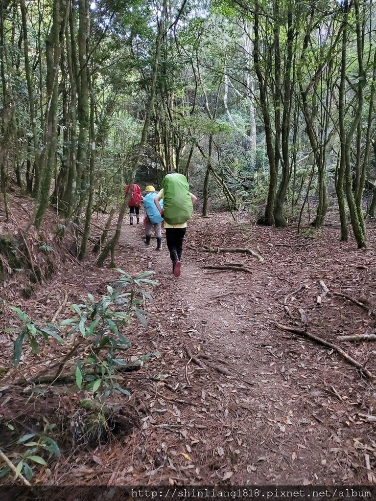 親子登山 北坑駐在所 雪見大板根 雪見遊憩區 北坑山