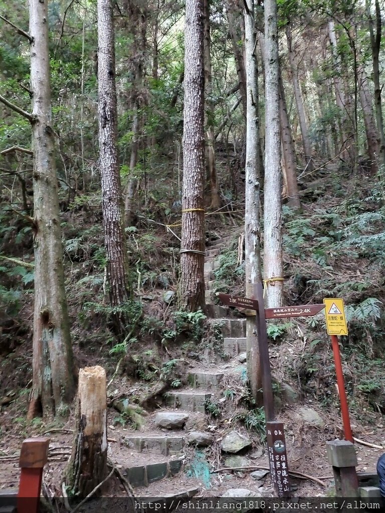 親子登山 北坑駐在所 雪見大板根 雪見遊憩區 北坑山