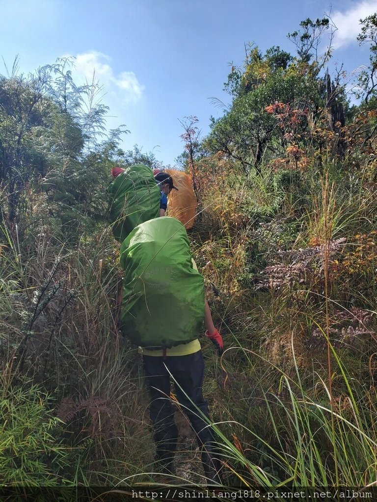 親子登山 加羅湖 加羅北池 太加縱走 太加太來回走