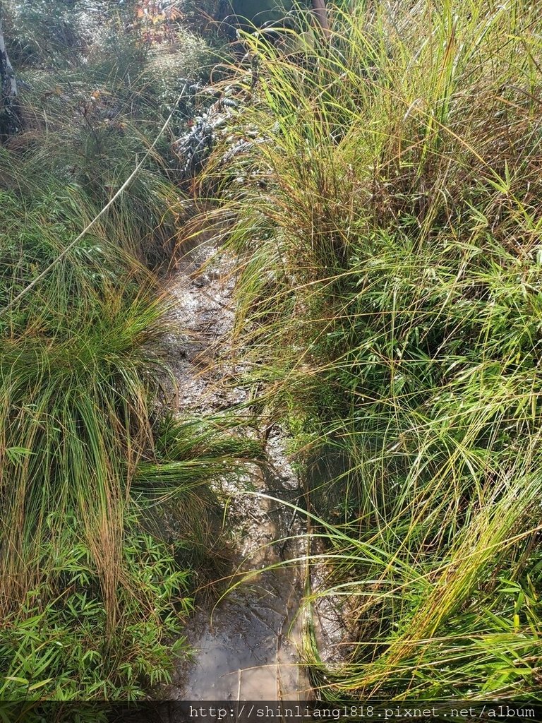 親子登山 加羅湖 加羅北池 太加縱走 太加太來回走