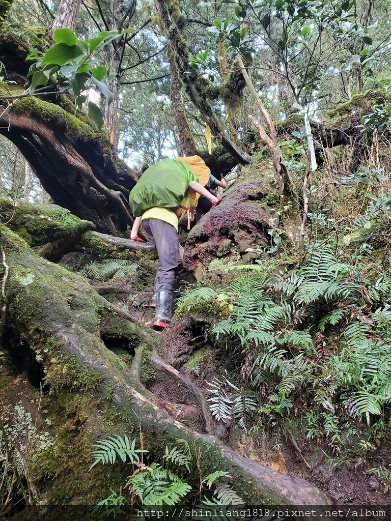 親子登山 加羅湖 加羅北池 太加縱走 太加太來回走