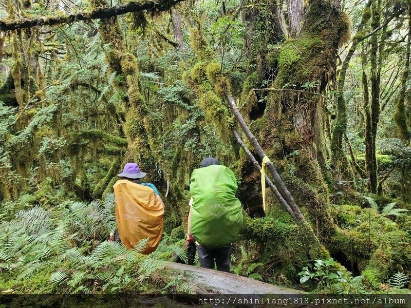 親子登山 加羅湖 加羅北池 太加縱走 太加太來回走