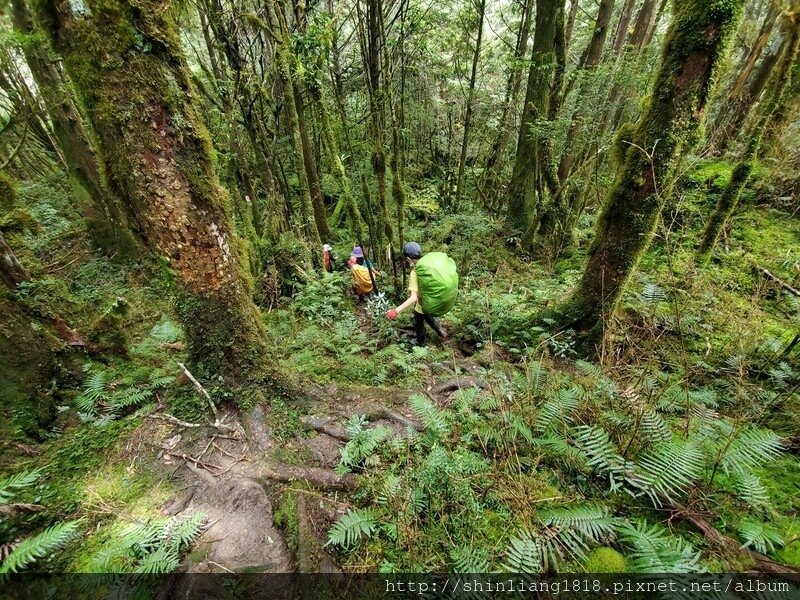 親子登山 加羅湖 加羅北池 太加縱走 太加太來回走