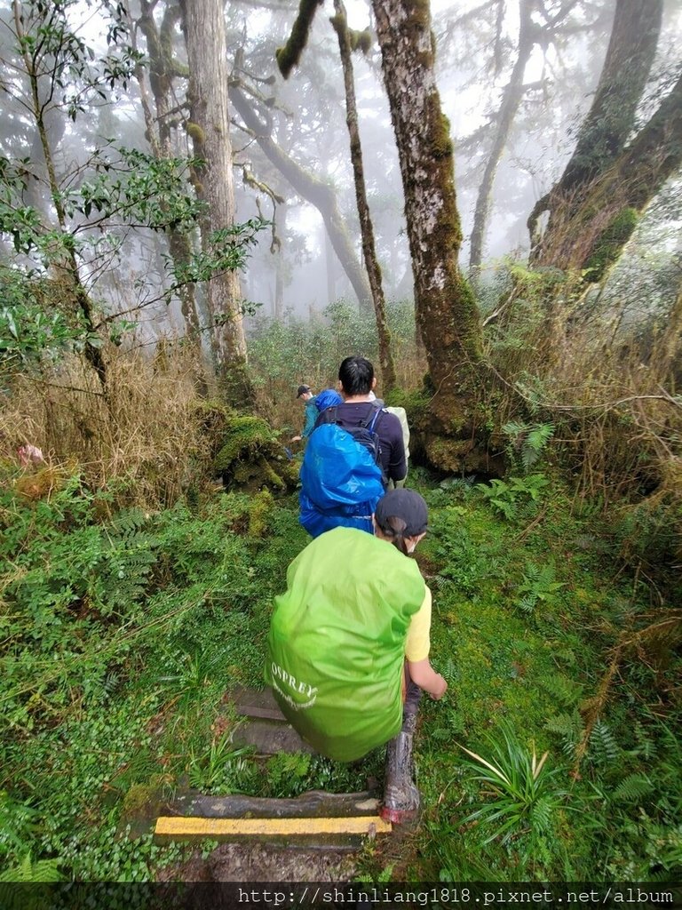 親子登山 加羅湖 加羅北池 太加縱走 太加太來回走