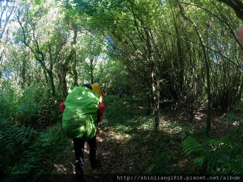 陽明山 親子登山 陽明山草原秘境 健腳級行程 擎天崗