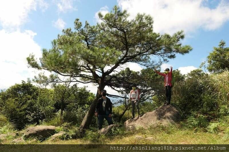 陽明山 親子登山 陽明山草原秘境 健腳級行程 擎天崗