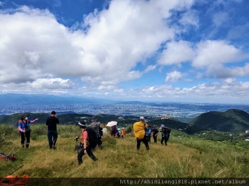 陽明山 親子登山 陽明山草原秘境 健腳級行程 擎天崗