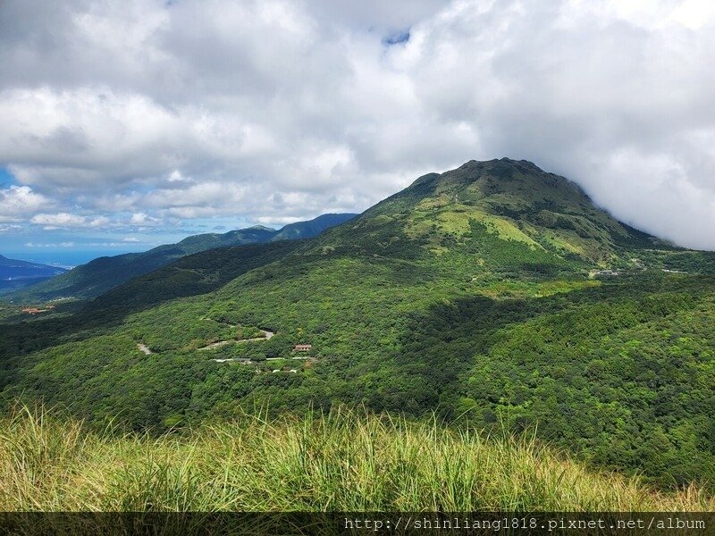 陽明山 親子登山 陽明山草原秘境 健腳級行程 擎天崗