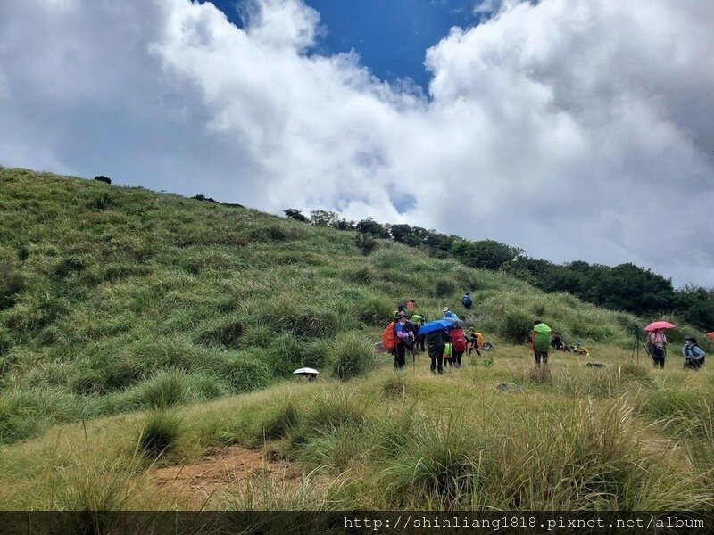 陽明山 親子登山 陽明山草原秘境 健腳級行程 擎天崗