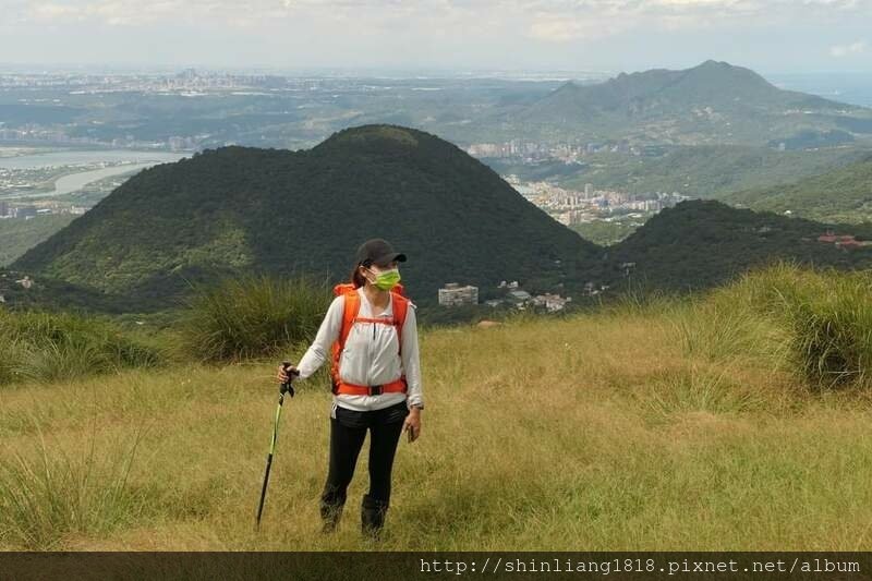 陽明山 親子登山 陽明山草原秘境 健腳級行程 擎天崗