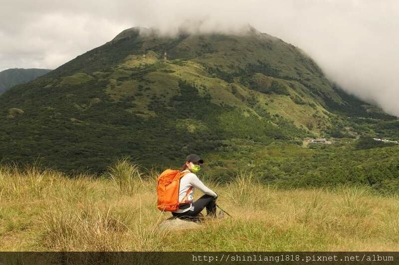 陽明山 親子登山 陽明山草原秘境 健腳級行程 擎天崗