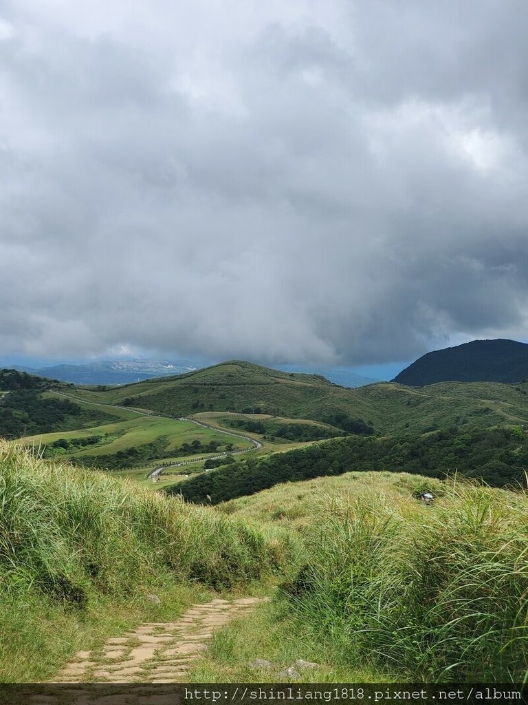 陽明山 親子登山 陽明山草原秘境 健腳級行程 擎天崗