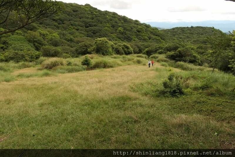 陽明山 親子登山 陽明山草原秘境 健腳級行程 擎天崗