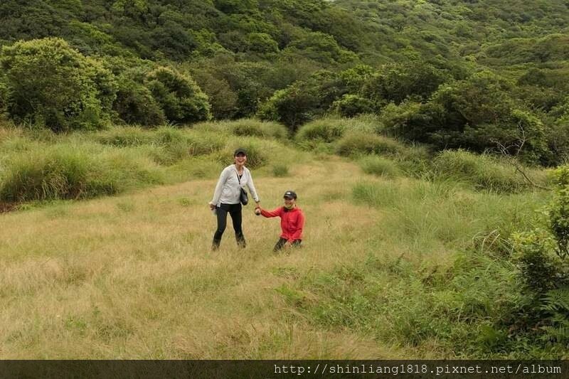 陽明山 親子登山 陽明山草原秘境 健腳級行程 擎天崗