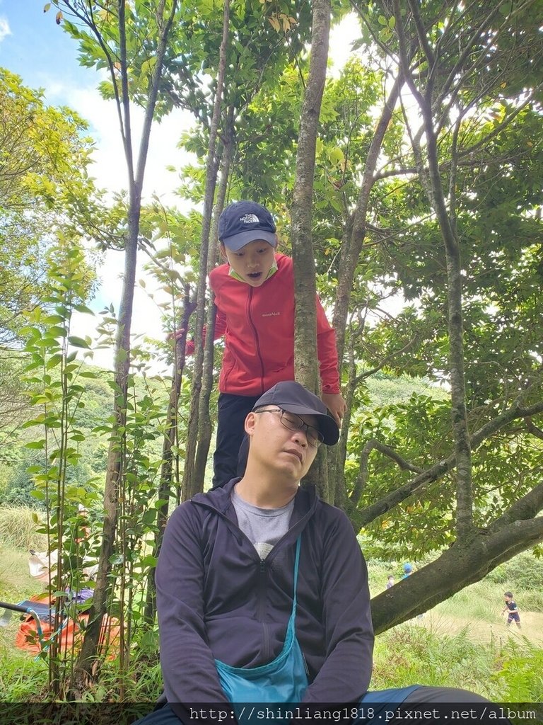 陽明山 親子登山 陽明山草原秘境 健腳級行程 擎天崗