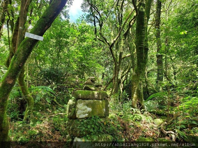 陽明山 親子登山 陽明山草原秘境 健腳級行程 擎天崗