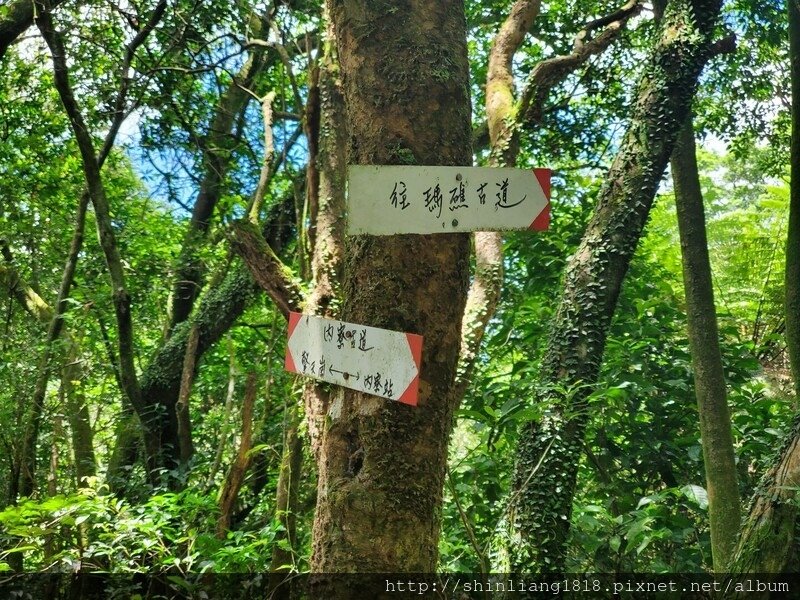 陽明山 親子登山 陽明山草原秘境 健腳級行程 擎天崗