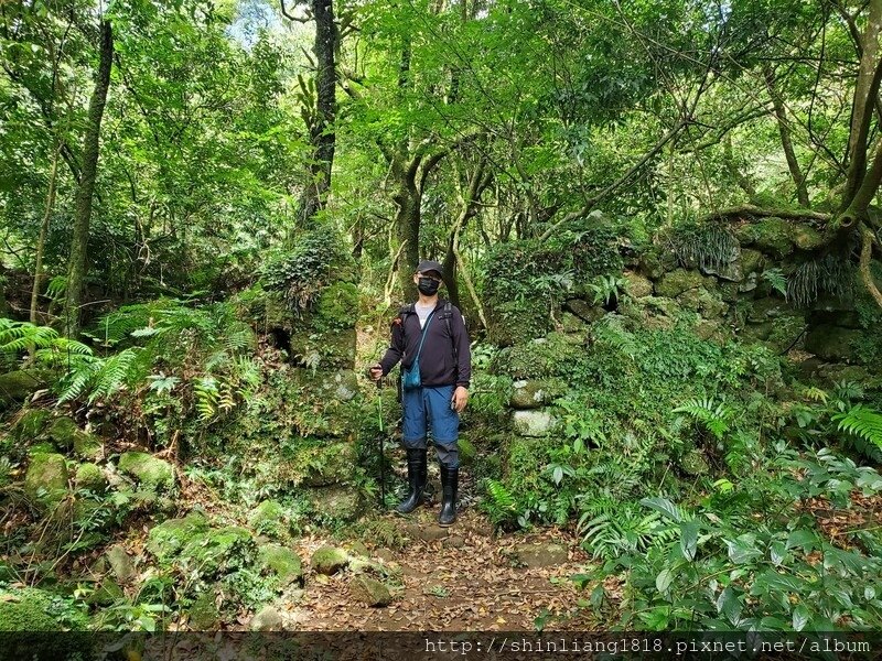 陽明山 親子登山 陽明山草原秘境 健腳級行程 擎天崗