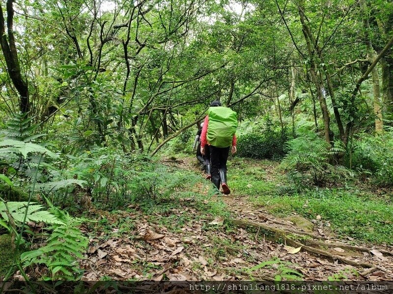 陽明山 親子登山 陽明山草原秘境 健腳級行程 擎天崗