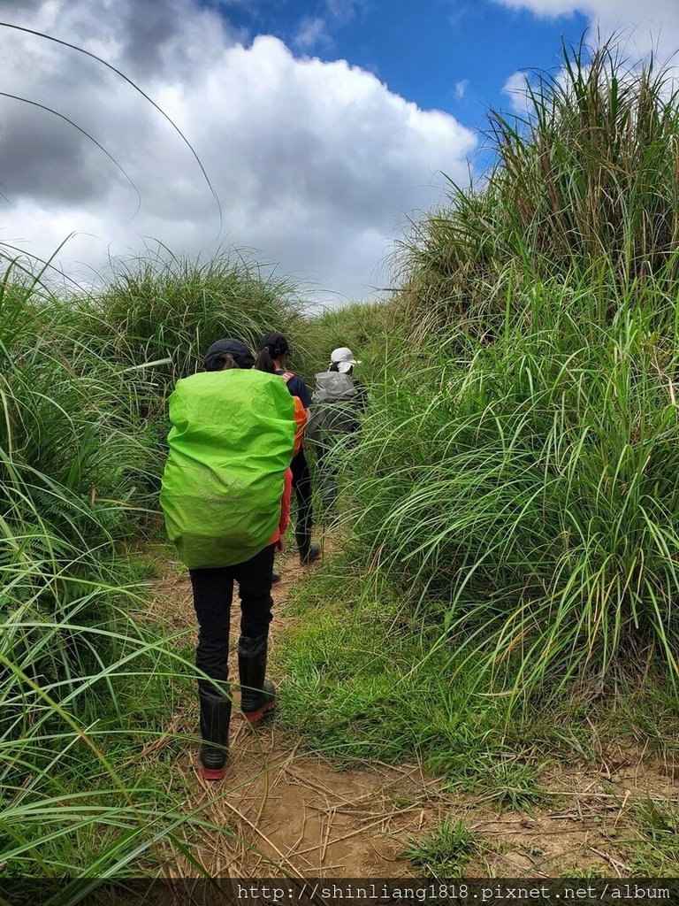 陽明山 親子登山 陽明山草原秘境 健腳級行程 擎天崗