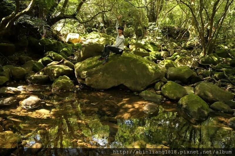 陽明山 親子登山 陽明山草原秘境 健腳級行程 擎天崗