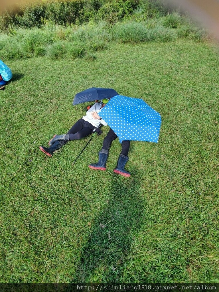 陽明山 親子登山 陽明山草原秘境 健腳級行程 擎天崗