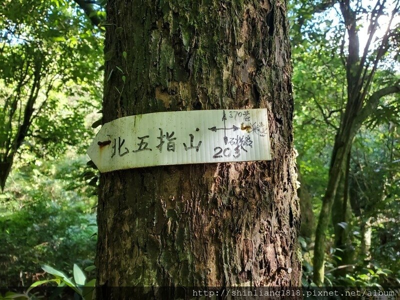 陽明山 親子登山 陽明山草原秘境 健腳級行程 擎天崗