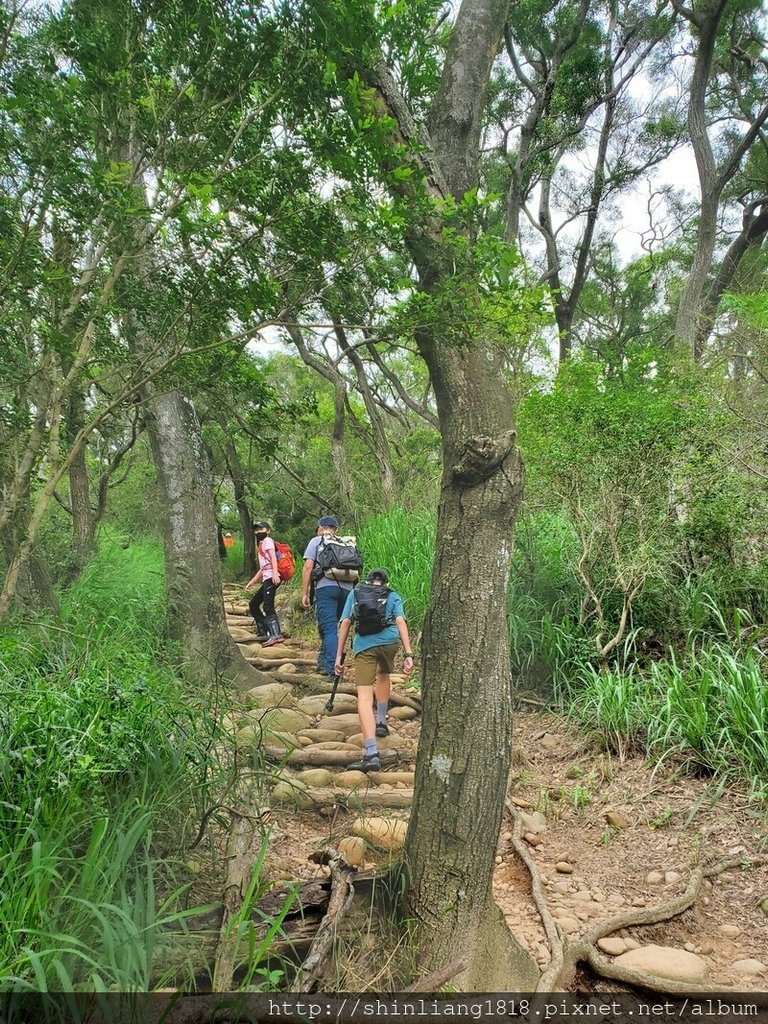 登山 健行步道 火炎山 北鞍古道 親子登山